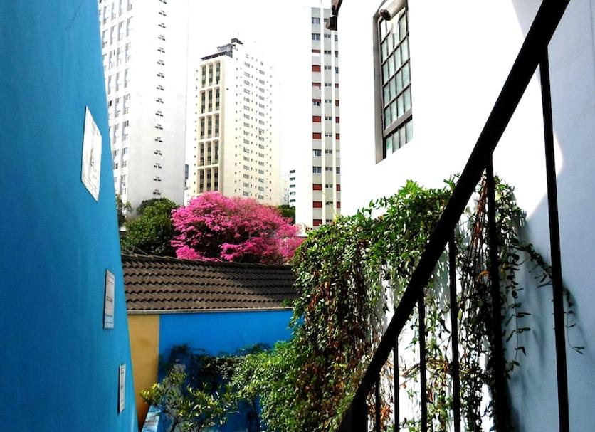 户外景观 照片