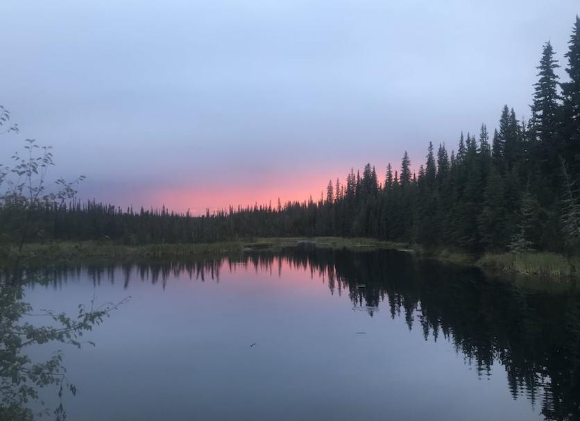 户外景观 照片