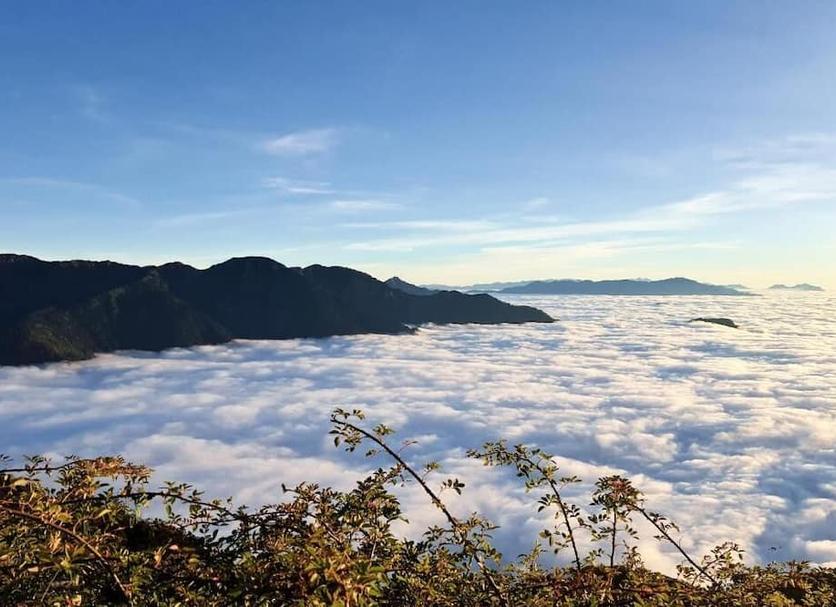 户外景观 照片