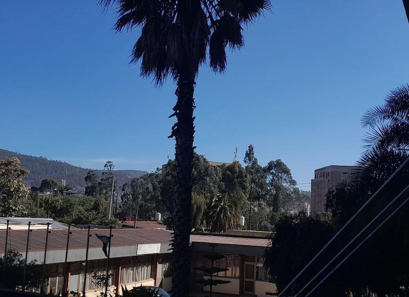 户外景观 照片