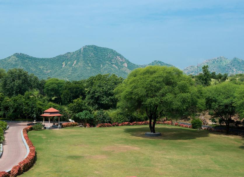 户外景观 照片
