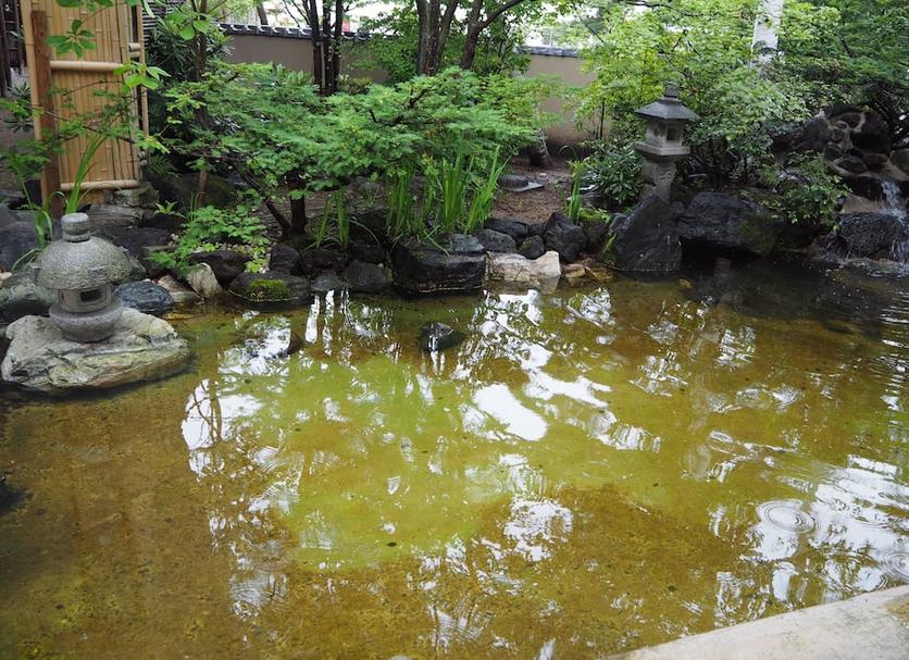 户外景观 照片