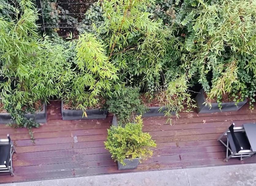 户外景观 照片