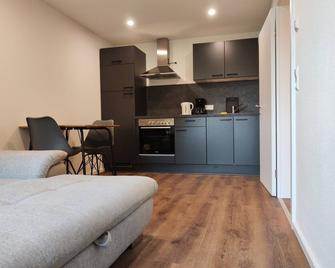 Apartmenthaus Pforzheim - 普福尔茨海姆 - 厨房