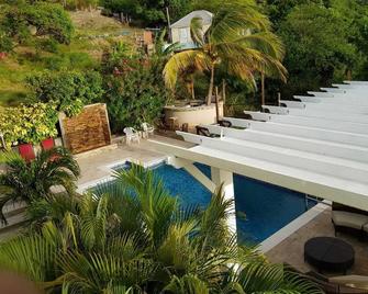 Luxurious Penthouse with Breathtaking Views - Cudjoe Head - 游泳池