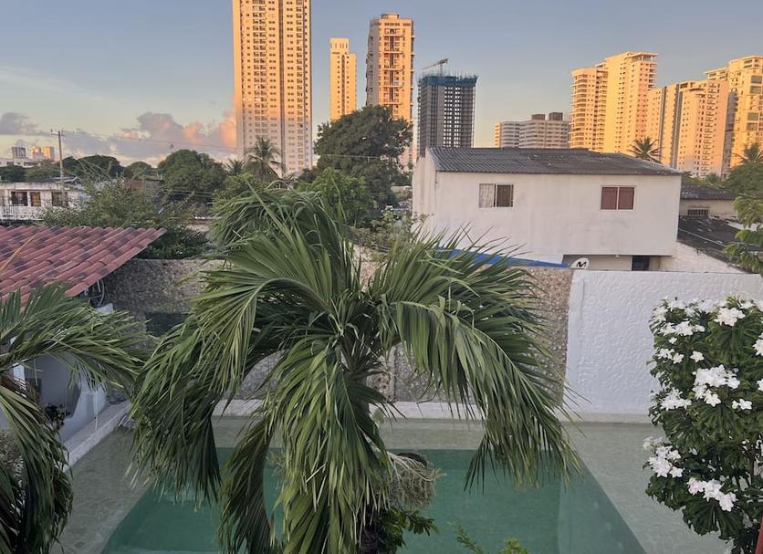 户外景观 照片