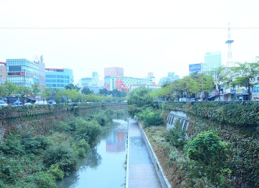 户外景观 照片