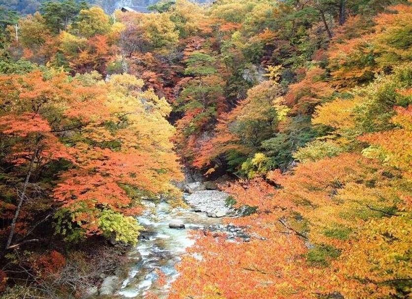 户外景观 照片