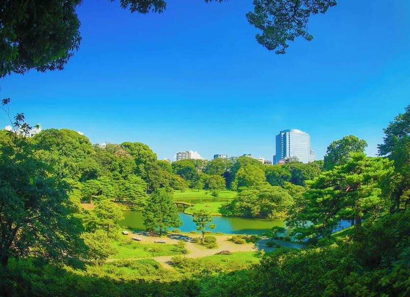 户外景观 照片
