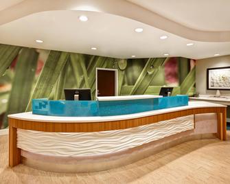 巴尔的摩华盛顿国际机场 SpringHill Suites 酒店 - 林夕昆高地 - 柜台