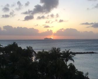 First beachfront at the Divi Resort - 棕榈滩 - 户外景观