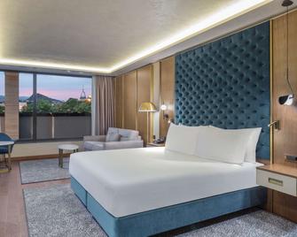 DoubleTree by Hilton Plovdiv Center - 普罗夫迪夫 - 睡房