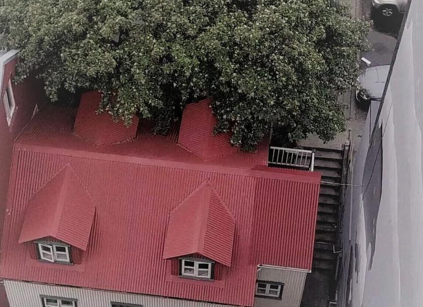 户外景观 照片