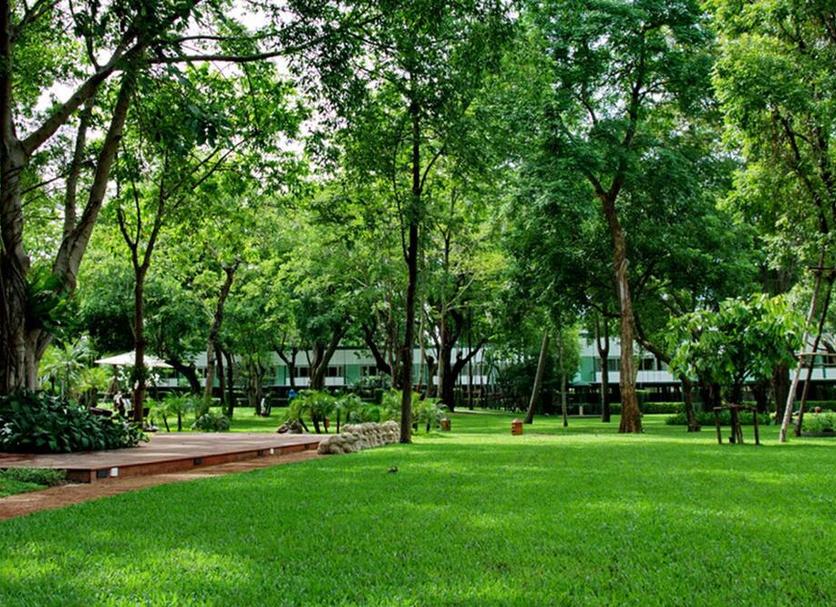 户外景观 照片
