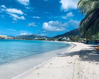 翡翠海滩度假村 - 圣托马斯岛 - 海滩