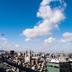 户外景观
