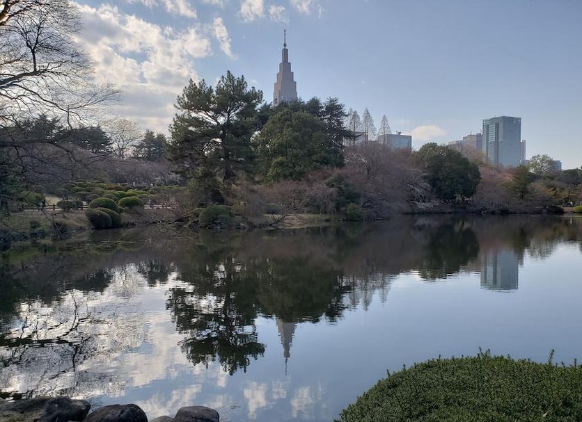 户外景观 照片