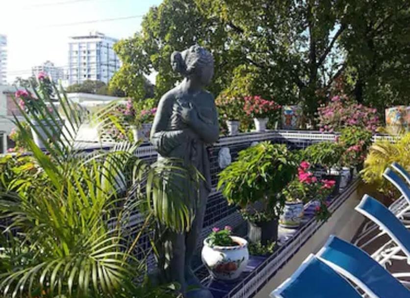 户外景观 照片