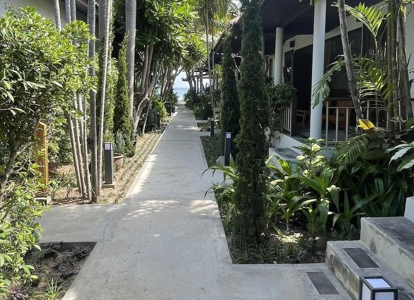 户外景观 照片