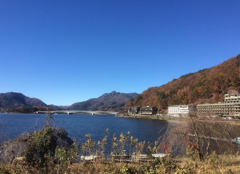 户外景观 照片