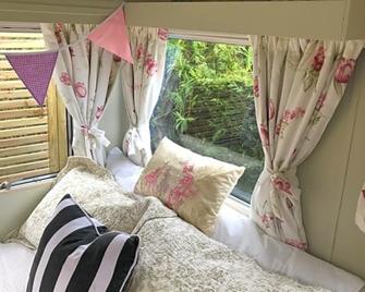 Down The Garden Path Vintage Caravan B&B , Dartmoor - 牛顿阿伯特 - 睡房