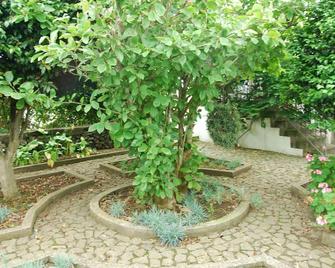 Space suitable for families, with gardens, vegetables and seasonal fruit - 普拉亚达维多利亚 - 户外景观