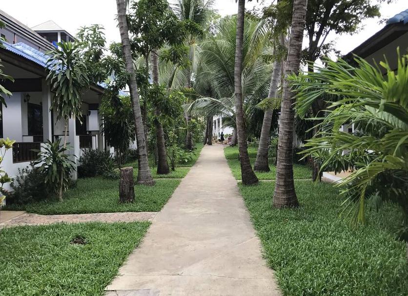户外景观 照片