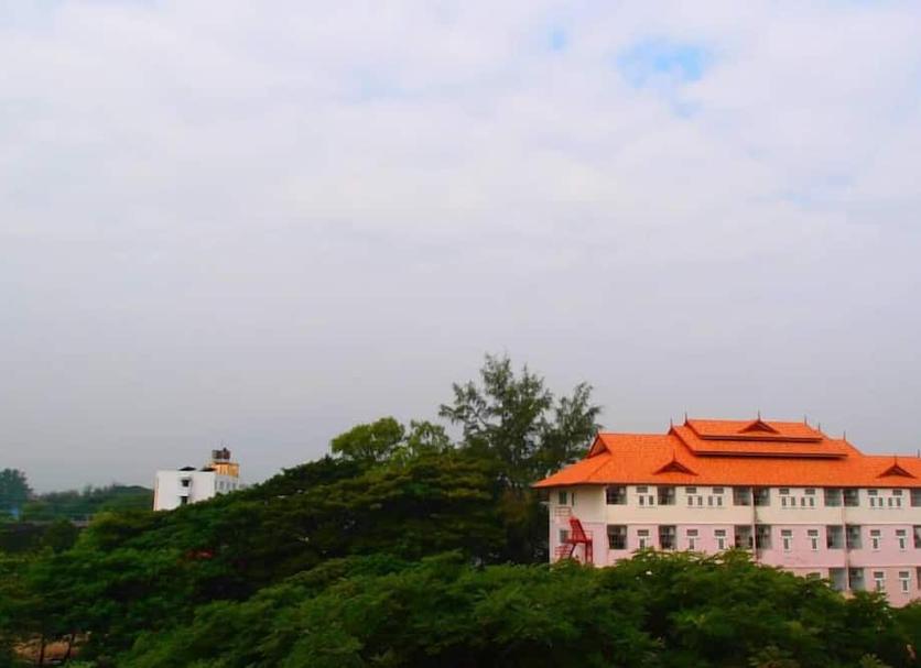 户外景观 照片