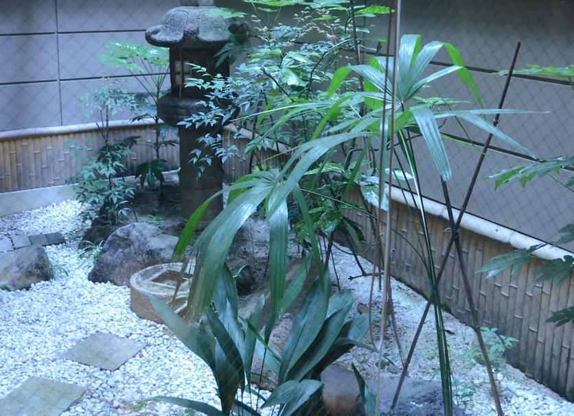 户外景观 照片