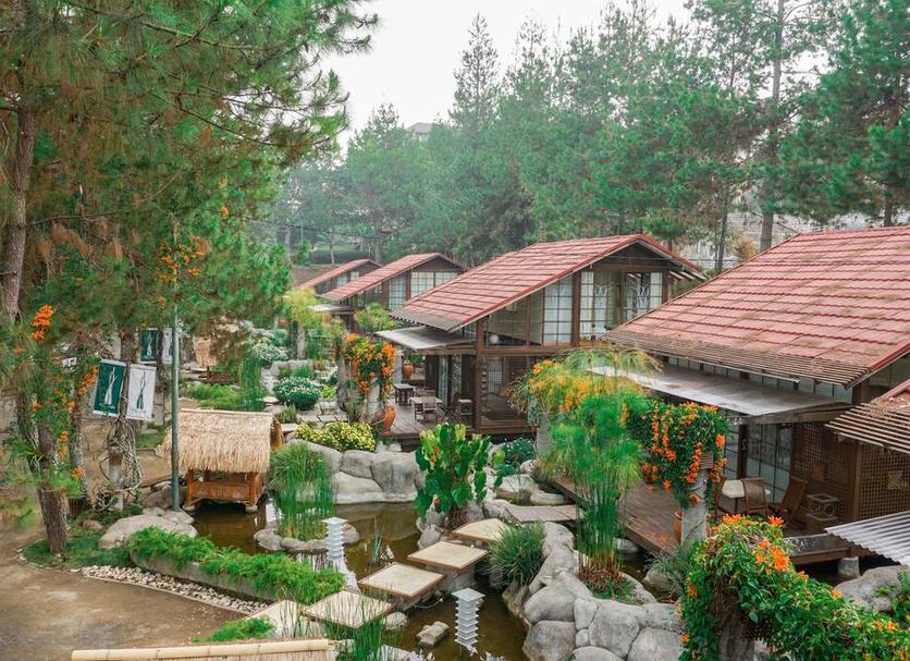 户外景观 照片