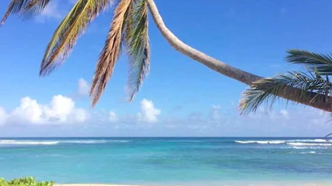 鹈鹕湾棕榈度假村