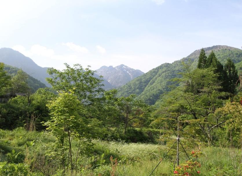 户外景观 照片