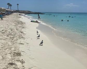 Bimini Home At The Beach - Alice Town - 海滩