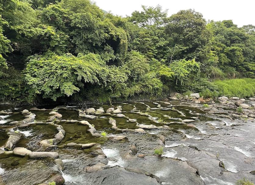 户外景观 照片