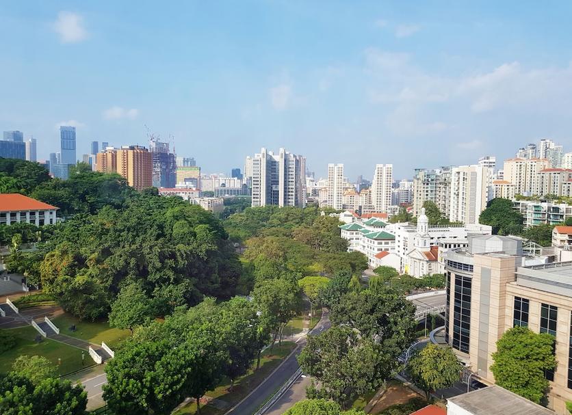 户外景观 照片