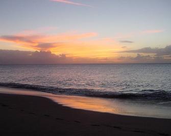Villa on the Island of Nevis above the nicest beach, sleeps 4-6 - 纽卡斯尔 - 海滩