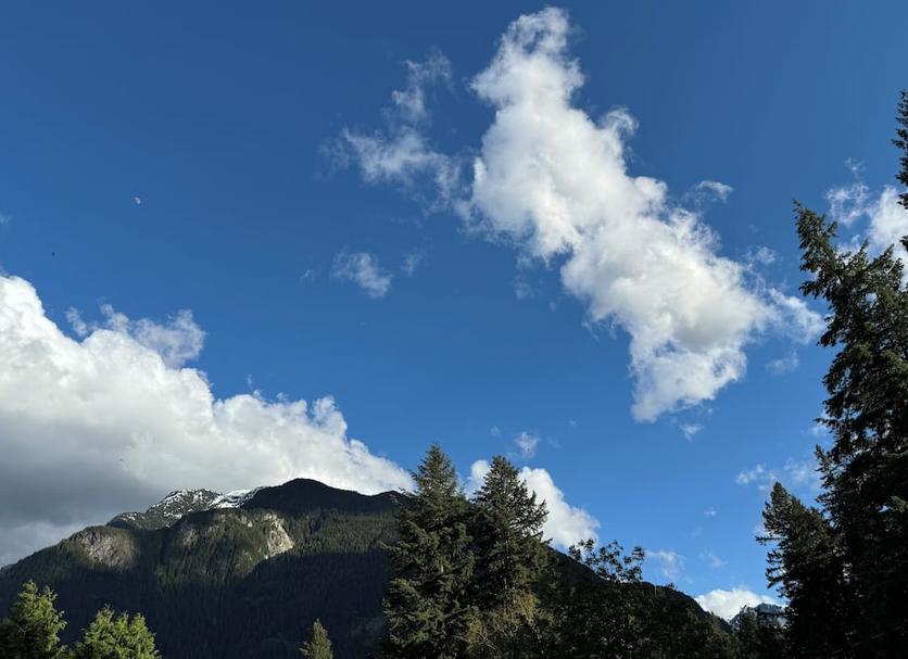 户外景观 照片