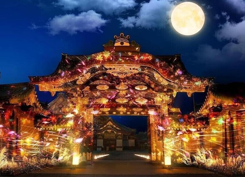 其他： 照片