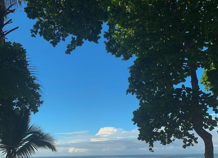 户外景观 照片