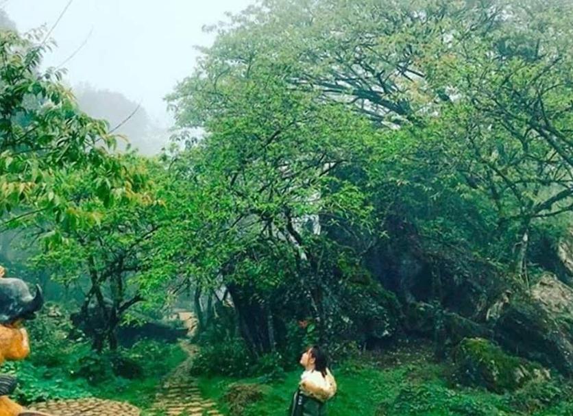 户外景观 照片