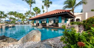 巴塞罗阿鲁巴度假酒店 - 棕榈滩 - 游泳池
