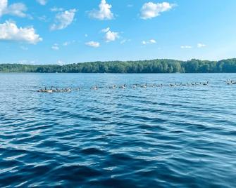 Deer Hill Cottage on 5 Lake Chain - 哈利伯顿 - 海滩