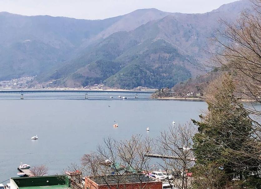 户外景观 照片