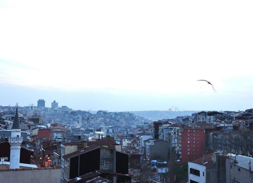 户外景观 照片