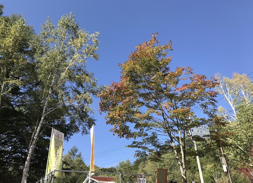户外景观 照片