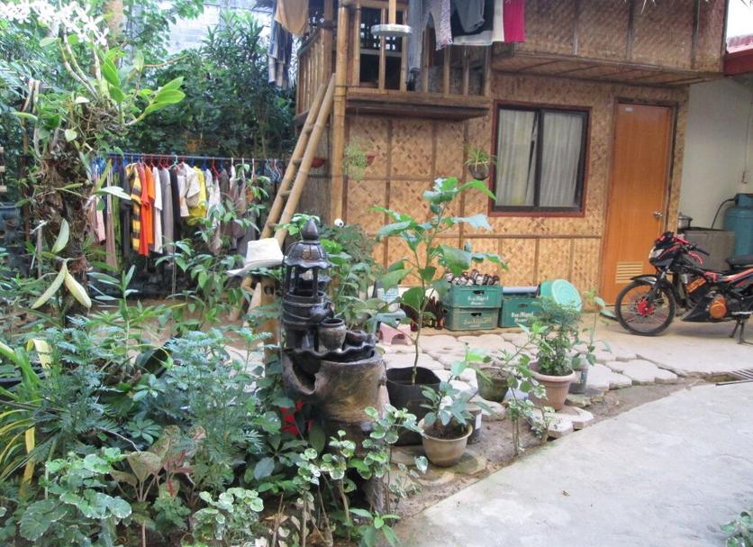 户外景观 照片