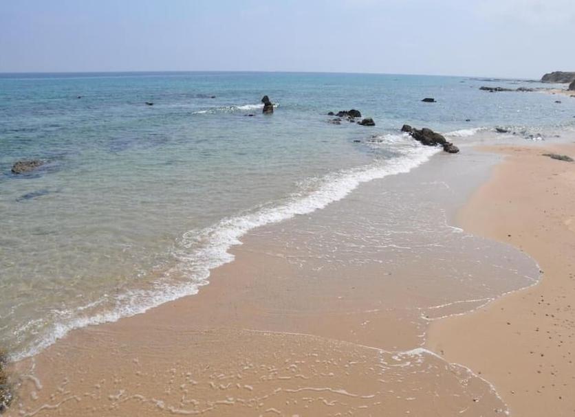 海滩 照片
