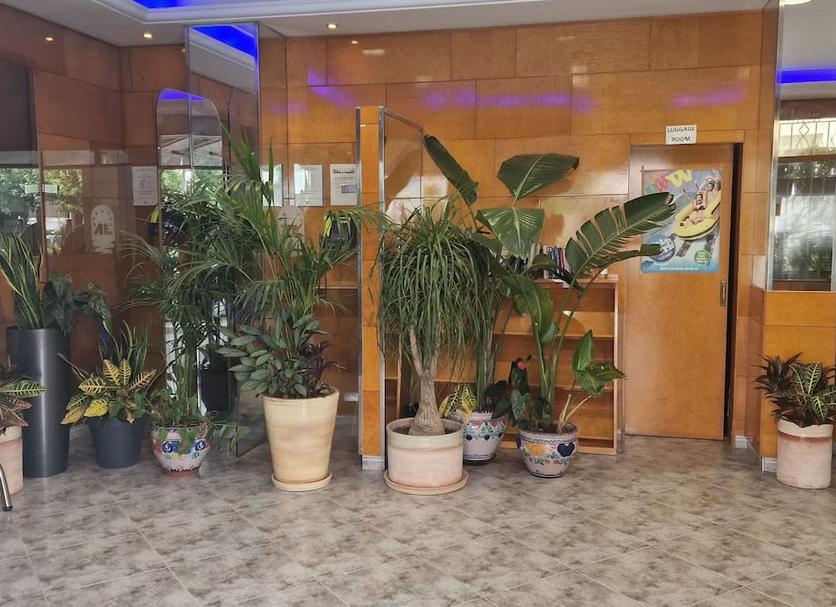 户外景观 照片