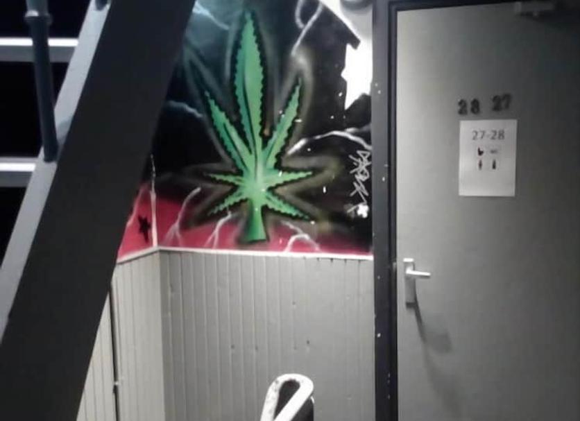 楼梯 照片