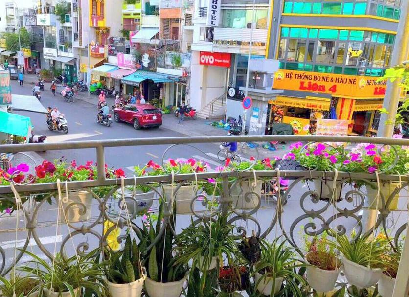 户外景观 照片